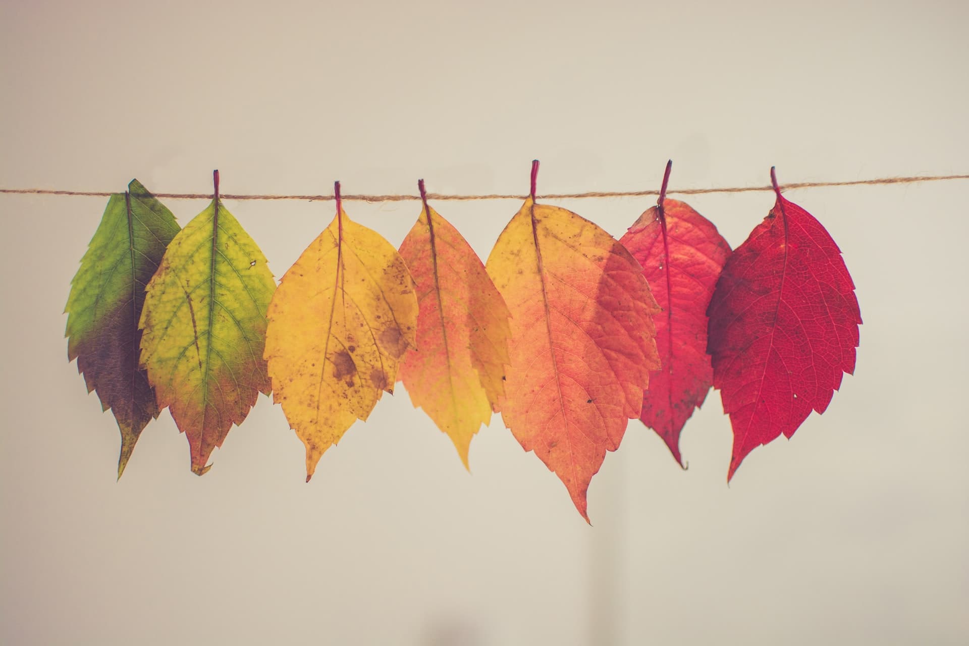 Why I Took a 50% Pay Reduction to Become a Software Developer